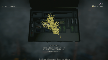 体力の上限値をあげられる