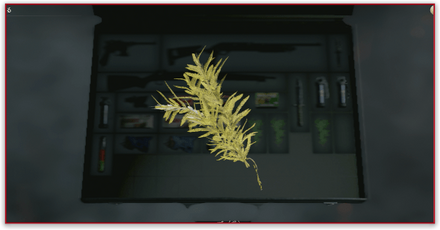 イエローハーブの場所