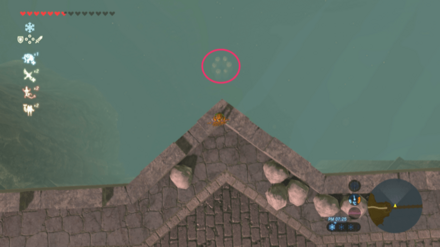 ハイリア大橋のコログ