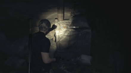 赤石の指輪の見た目