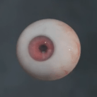 メンデスの義眼画像