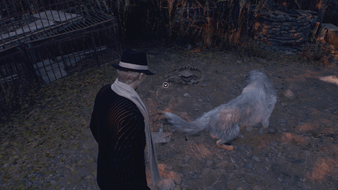 犬がトラバサミにかかっているので外す