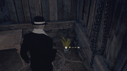 イエローハーブのゲーム内の場所