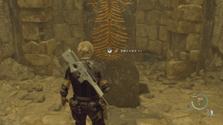 邪悪なる宝玉の見た目