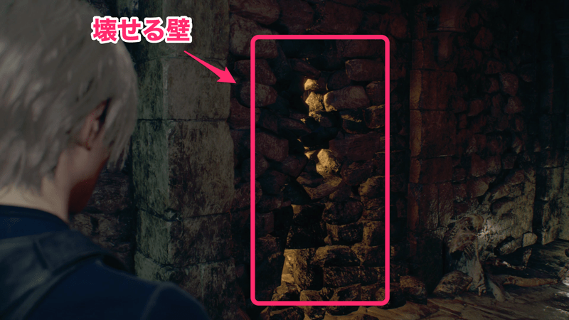 奥まで行くと壊せる壁があるので壊して梯子を登り先へ進む