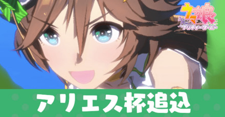 アリエス杯追込