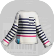 ボーダーホワイト画像