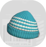 ボーダービーニー画像