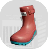 レイニーアセロラ画像