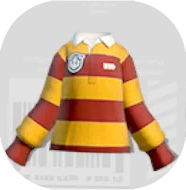 オレンジボーダーラガー画像