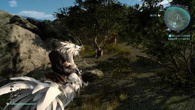 錯乱しそうな負傷者の詳細画像