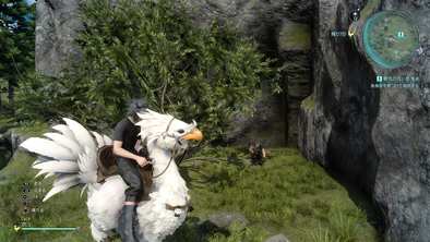 覇気のない負傷者の詳細画像