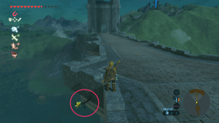 ハイリア大橋のコログの花の見た目