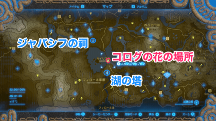 ハイリア大橋のコログの花の場所