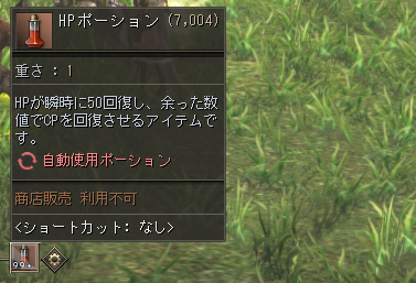 回復ポーションをしっかり利用する