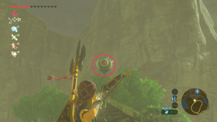 コログの的の見た目