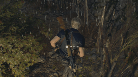 金の卵の入手方法