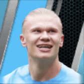 HPエーリングホーランド(04/03)画像