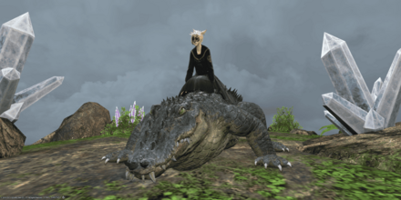 アイランド・アリゲーター