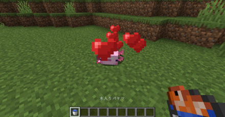 熱帯魚入りのバケツ