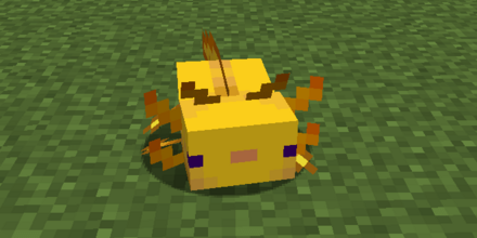 黄色のウーパールーパー