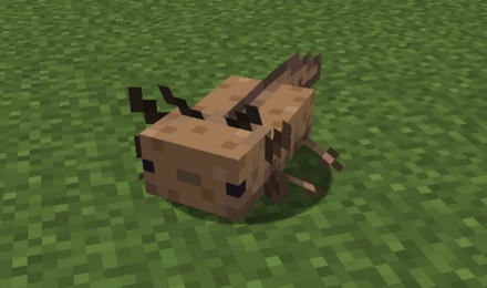 茶色のウーパールーパー