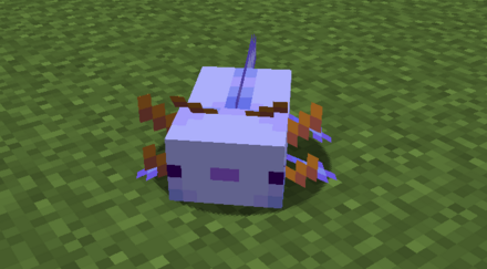 青色のウーパールーパー