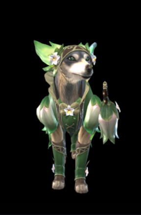 ガルクのフェアリ装備