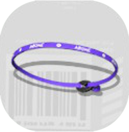 サッカーバンド画像