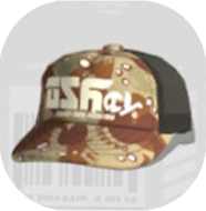 カモキャップドトン画像