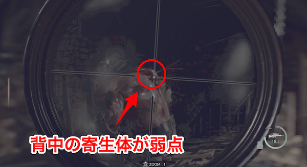 ガラドールは背中の寄生体が弱点