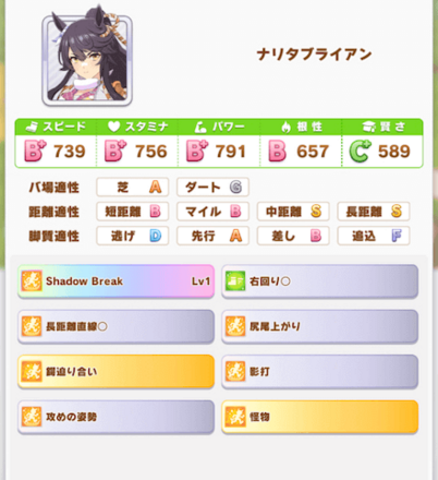 ナリタブライアン菊花賞