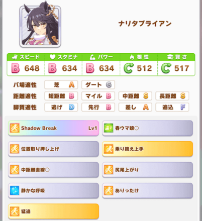 ナリタブライアン日本ダービー