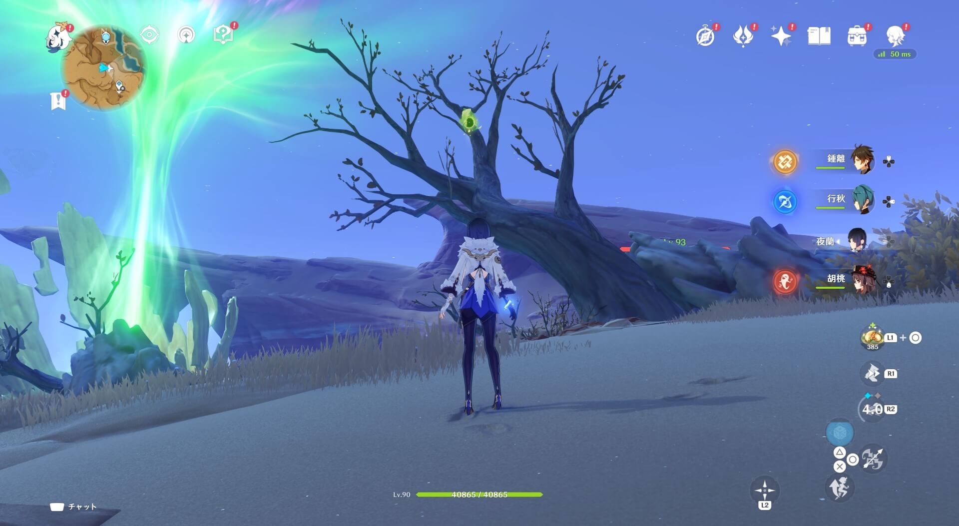 山頂にある木の上