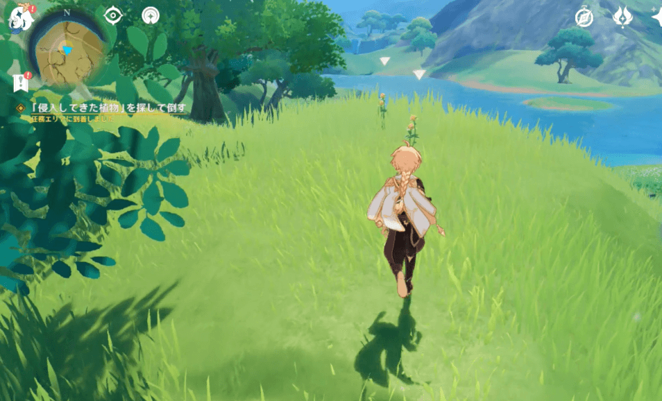 スイートフラワー