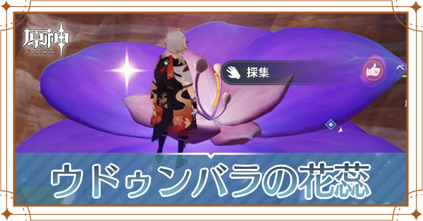 ウドゥンバラの花蕊(かずい)の場所と入手方法