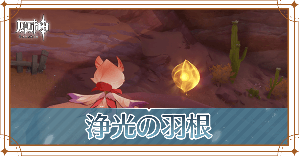 浄光の羽根の入手場所