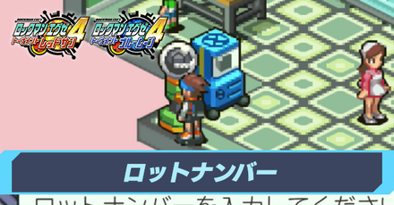 ロットナンバー