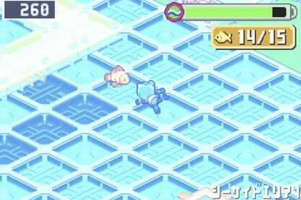 サカナは正面から捕まえる