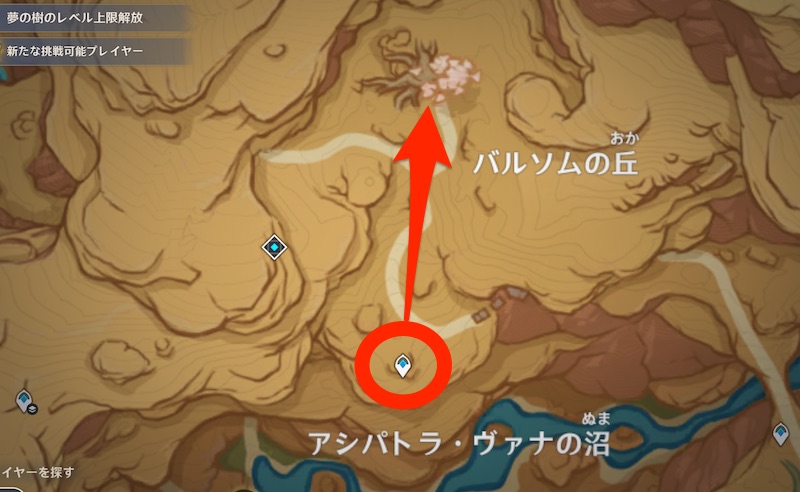 アシパトラ・ヴァナの沼の北