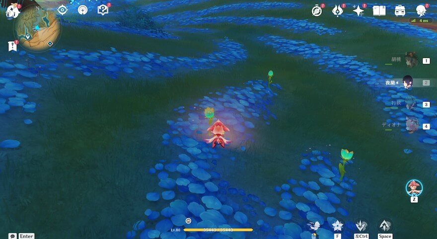 ソルシュで花の付近を旋回するだけ