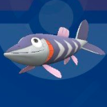 サシカマスの色違いの見た目