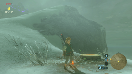 切り株の見た目