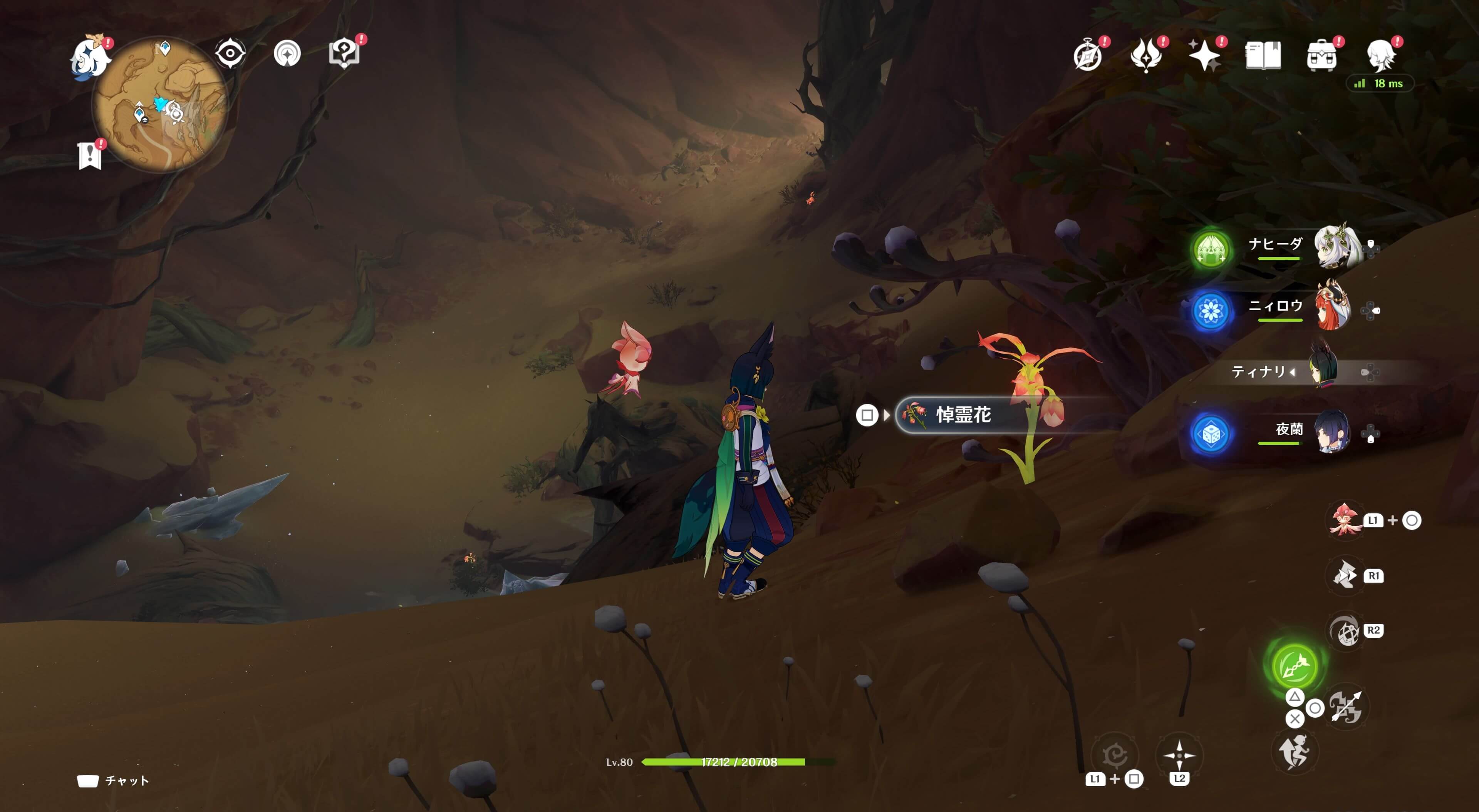 悼霊花_荒石の蒼漠⑧