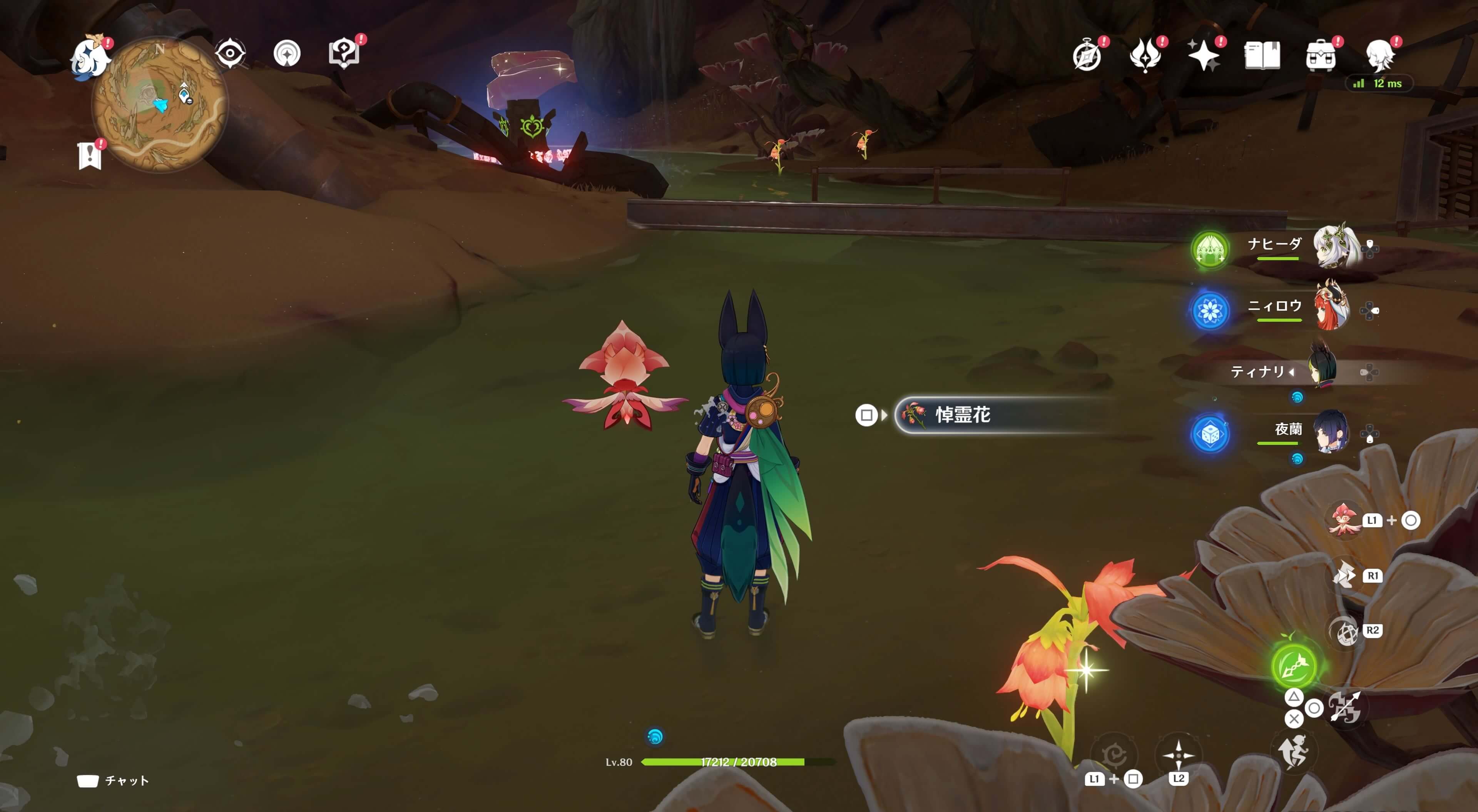 悼霊花_荒石の蒼漠⑩