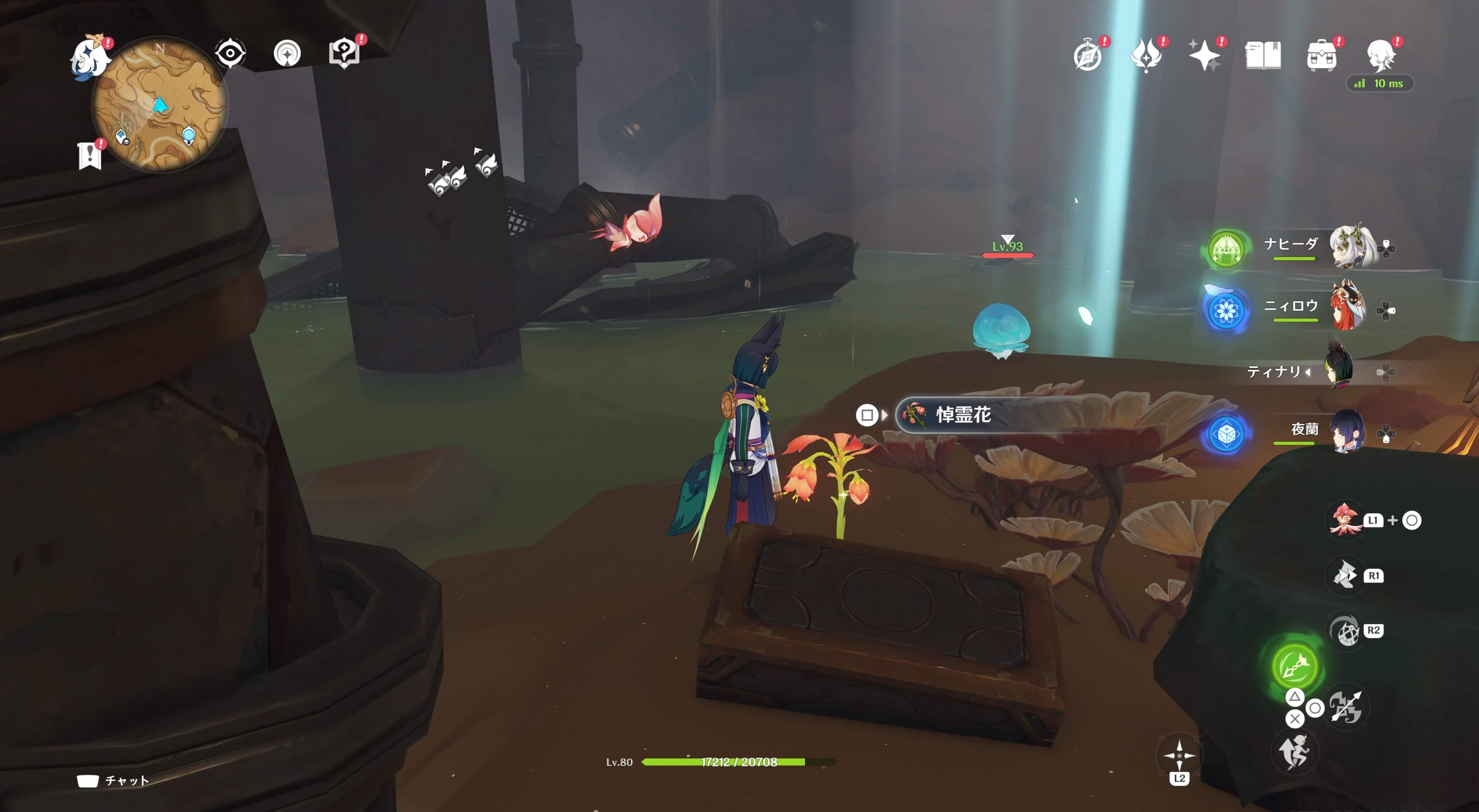 悼霊花_荒石の蒼漠⑫