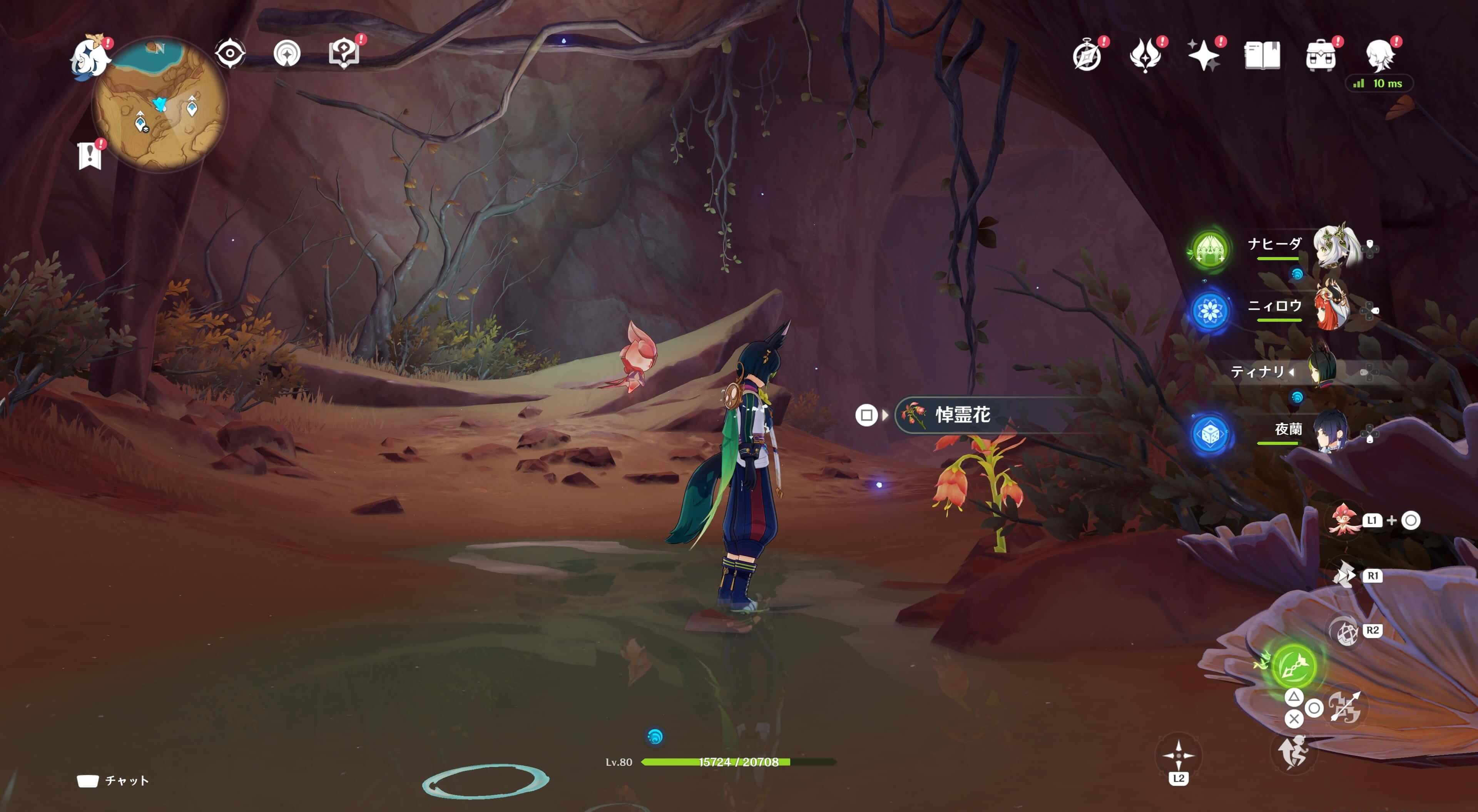 悼霊花_荒石の蒼漠⑰