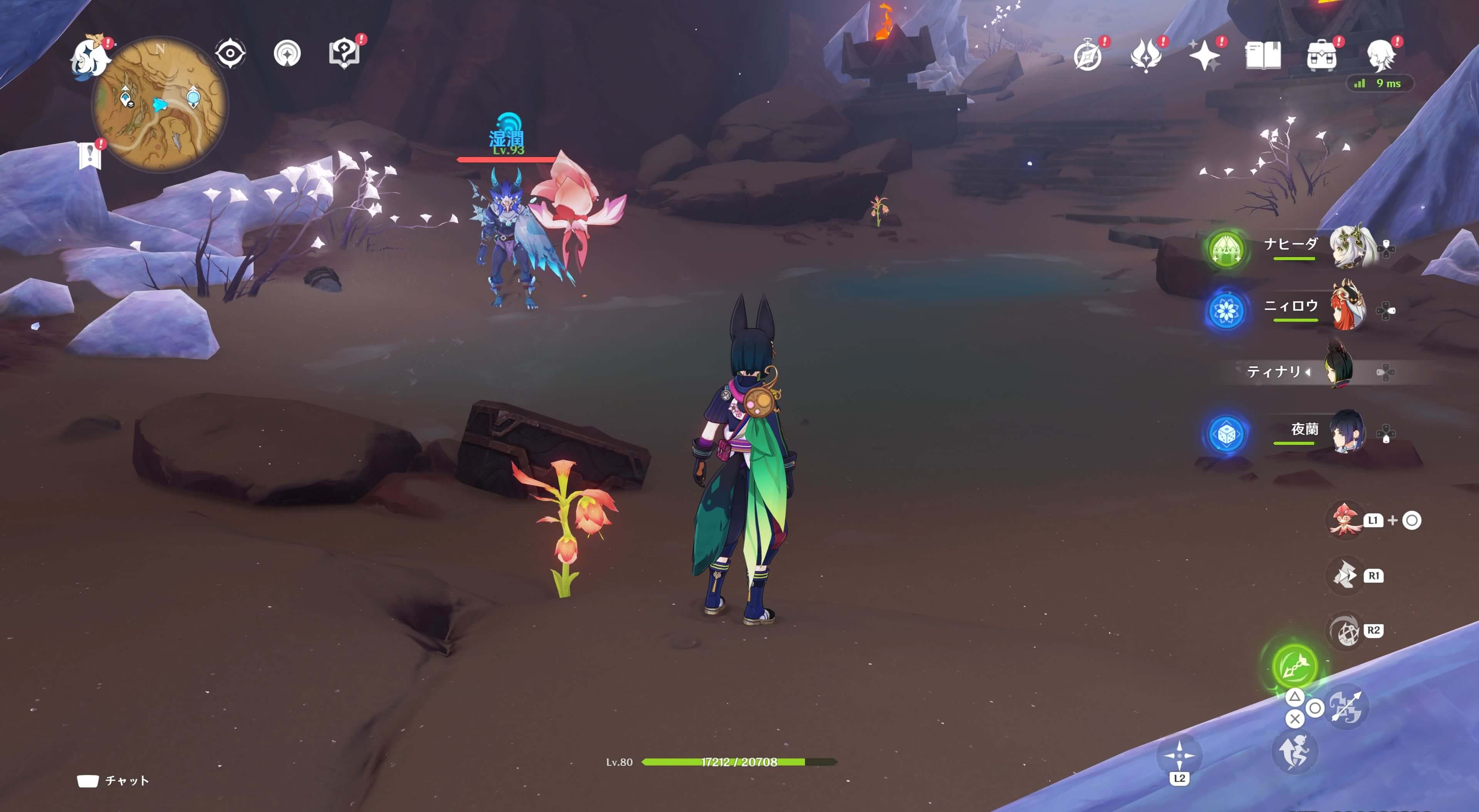 悼霊花_荒石の蒼漠⑭