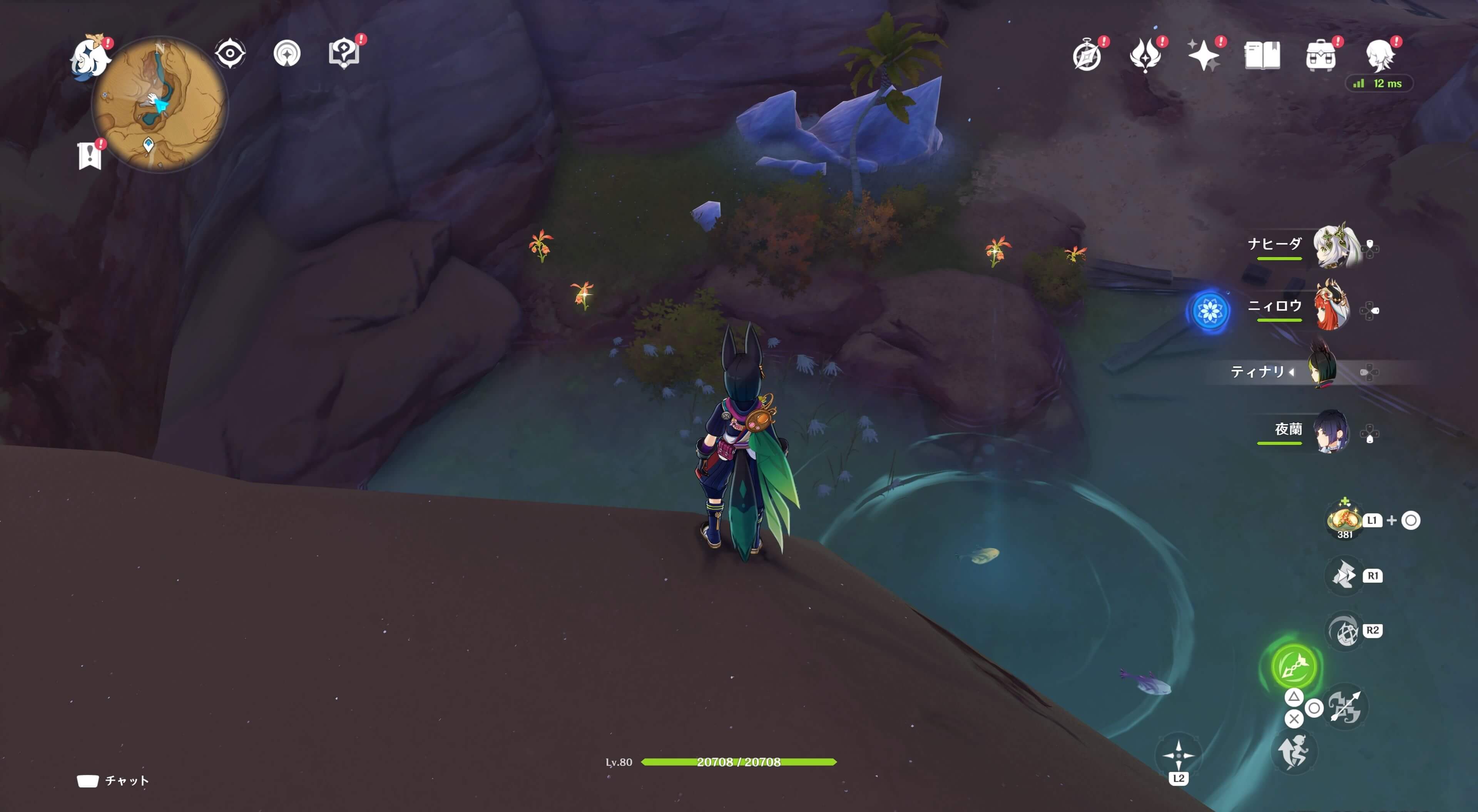 悼霊花_荒石の蒼漠②