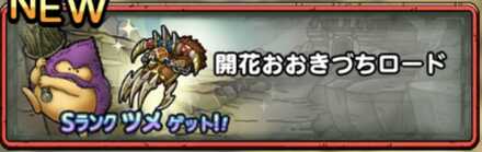 開花おおきづちロード画像